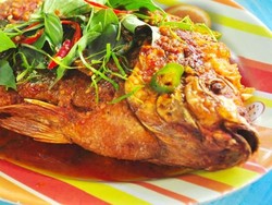 Kangen Sambal Terasi Buatan Ibu? Intip di Sini Kreasi Resepnya