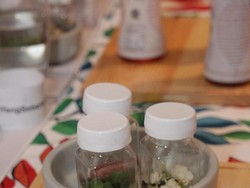 Toasted Rice hingga Vanilla Pandan, Inspirasi Rasa Indonesia dalam Sebotol Teh