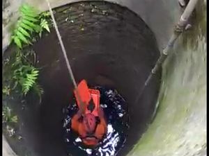 Sigapnya Tim BPBD Boyolali Selamatkan Kucing yang Tercebur ke Sumur