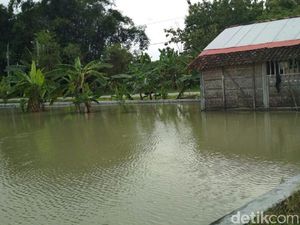 5 Desa di Kecamatan Godong Grobogan Banjir 5 Desa di Kecamatan Godong Grobogan Banjir