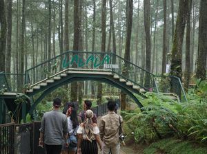 5 Tahun Vakum, Kini Lalala Festival Tawarkan Acara Musik Anti-Mainstream!