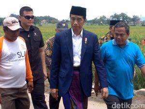Bersarung dan Peci, Jokowi Keliling Sawah Cek Padat Karya Cash