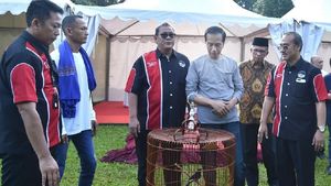 Momen Burung Jokowi Kalah di Lomba Kicau Piala Presiden