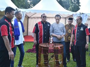 Momen Burung Jokowi Kalah di Lomba Kicau Piala Presiden
