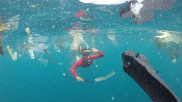 Foto: Laut di Kupang yang Sempat Tercemar Sampah Selama 30 Menit