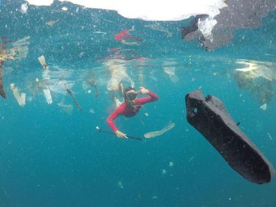 Foto: Laut di Kupang yang Sempat Tercemar Sampah Selama 30 Menit