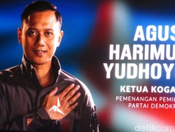 PD: AHY Sang Rising Star Harus Jadi Capres atau Cawapres