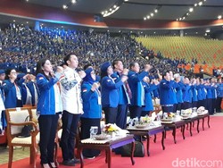 Klaim Suara Turun karena Dukung Prabowo, Ini Hasil PD Sejak Pemilu 2004