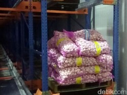 Bibit Bawang Putih yang Disegel Kemendag Diimpor dari China