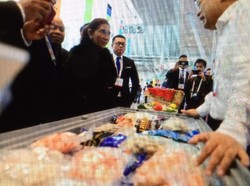 Berkah Penenggelaman Kapal, Omzet BUMN Perikanan Naik 3 Kali Lipat