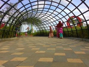 Bermain Sambil Belajar di Kebun Raya Banua