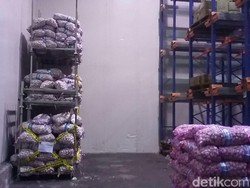 Kemendag Segel 5 Ton Bibit Bawang Putih
