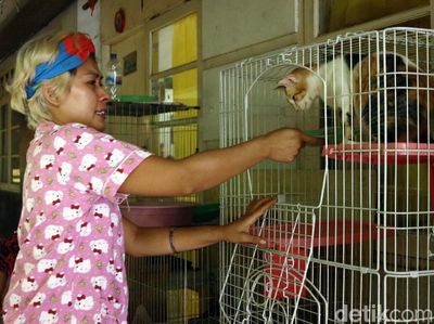 Kesedihan Mama Ciko yang Kucingnya Dibawa Petugas