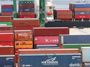 Peti Kemas Timpa Kabin Truk di Tanjung Priok, Sopir Luka Ringan