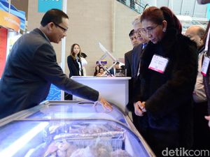 Saat Susi Dilarang Anaknya Makan Sop Sirip Ikan Hiu Saat Susi Dilarang Anaknya Makan Sop Sirip Ikan Hiu