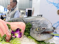Pameran Seafood Show Asia Jadi Momentum Genjot Ekspor Perikanan RI