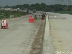 Jalan Tol di Riau akan Diberi Perlintasan Gajah