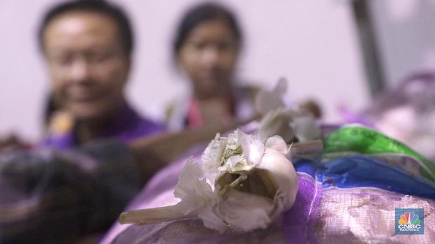 RI Mau Impor Bawang Putih 100 Ribu Ton, Apa Kata Mentan?