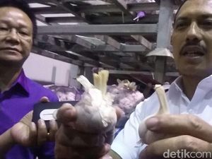 Kok Bisa Bibit Bawang Putih Dijual untuk Konsumsi? Kok Bisa Bibit Bawang Putih Dijual untuk Konsumsi?