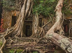 Kisah Pulau Angker di Samudera Hindia yang Kamu Belum Tahu