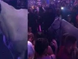 Kelab Malam di AS Terancam Ditutup Usai Ada Perempuan Tunggangi Kuda