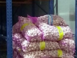 DPR Minta Pemerintah Tekan Impor Bawang Putih