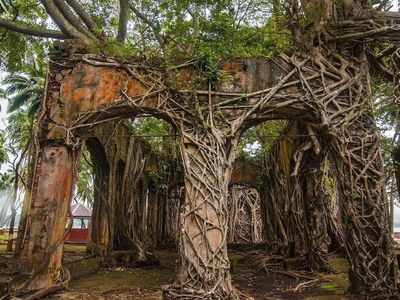 Foto: Pulau Angker di Samudera Hindia