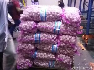 Importir Bawang Putih Akui Stok Masih Aman hingga Juni
