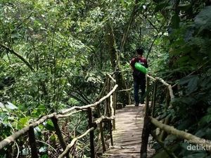 Foto: Gunung Salak, Air Terjun dan Elang Foto: Gunung Salak, Air Terjun dan Elang