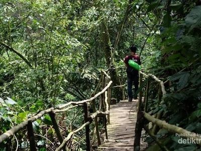 Foto: Gunung Salak, Air Terjun dan Elang