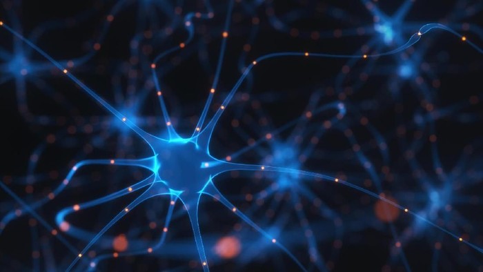 Foto: Thinkstock Foto: Thinkstock