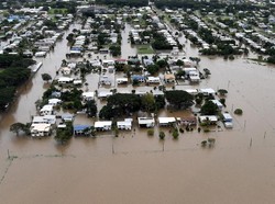 Banjir Mulai Surut, Buaya Mengancam Warga Queensland