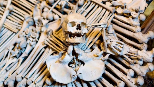 Foto: Tempat-tempat Paling Menyeramkan di Dunia, Berani Lihat?