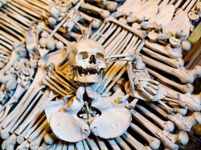 Foto: Tempat-tempat Paling Menyeramkan di Dunia, Berani Lihat?