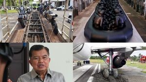 Deretan Berita Heboh: Ular 4 Meter di Jakarta Hingga Hacker Surabaya