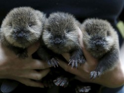 Senin Jangan Tegang! Yuk Lihat Aneka Video Lucu Seputar Traveling...