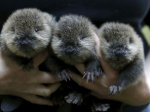 Senin Jangan Tegang! Yuk Lihat Aneka Video Lucu Seputar Traveling... Senin Jangan Tegang! Yuk Lihat Aneka Video Lucu Seputar Traveling...