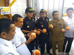 7 Kontainer Jeruk dan Apel Ilegal Asal China Gagal Masuk RI