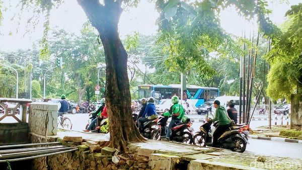 Bersembunyi dari Balik Pohon, Pemotor Lawan Arus