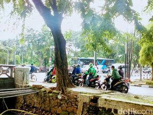 Bersembunyi dari Balik Pohon, Pemotor Lawan Arus Bersembunyi dari Balik Pohon, Pemotor Lawan Arus