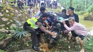 Harley Nyemplung ke Rawa-rawa
