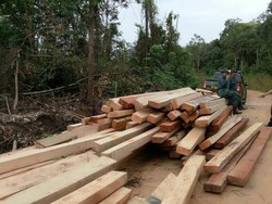 Illegal Logging di Sumsel, KLHK: Dilakukan Bos Besar