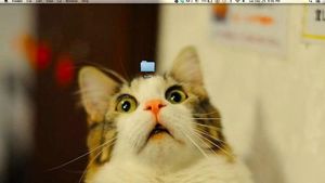 Wallpaper Desktop Komputer yang Lucu dan Kreatif