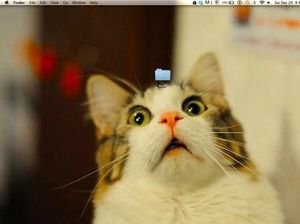 Wallpaper Desktop Komputer yang Lucu dan Kreatif Wallpaper Desktop Komputer yang Lucu dan Kreatif