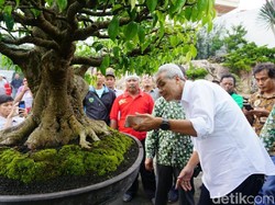 Ganjar Ajak Penggemar Bonsai Viralkan Karyanya