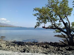 Jalanan Cakep Begini Bikin Betah Road Trip