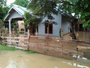Sungai Meluap, Banjir Rendam Dusun di Bungo Jambi Sungai Meluap, Banjir Rendam Dusun di Bungo Jambi