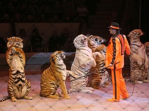 Hewan Liar Dilarang Beraksi di Atraksi Sirkus di Inggris Mulai 2020