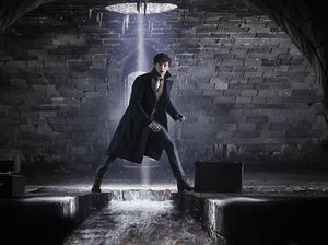 Apa Peran yang Ditawarkan Fantastic Beasts 2 pada Acha Septriasa? Apa Peran yang Ditawarkan Fantastic Beasts 2 pada Acha Septriasa?