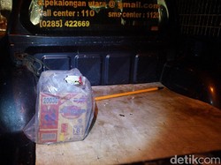 Warga Temukan Tangan Bayi Nyaris Dimangsa Biawak di Pekalongan